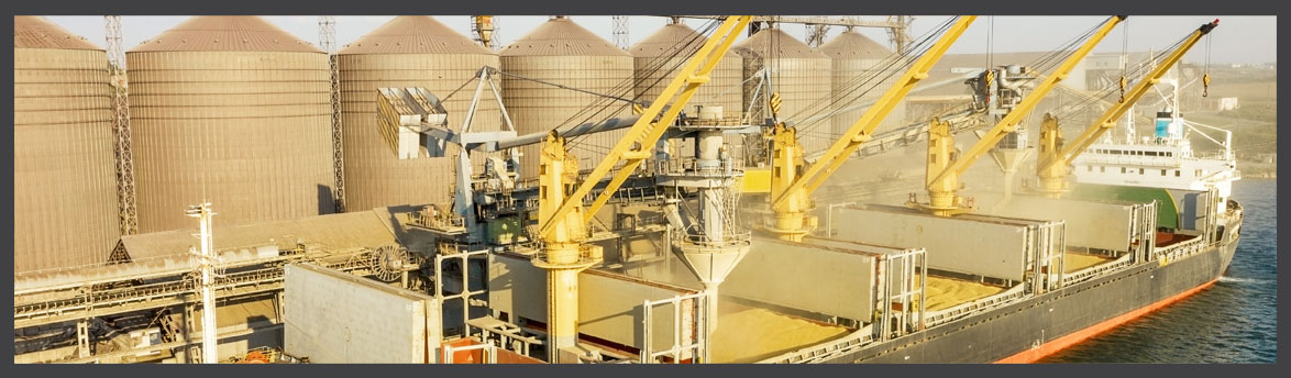 Bulk cargo ship being loaded with grain by large yellow cranes at a port terminal, with grain silos in the background.