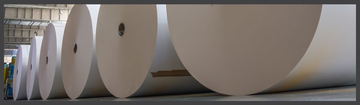 Large rolls of white paper stored in a warehouse with high ceilings and industrial lighting.